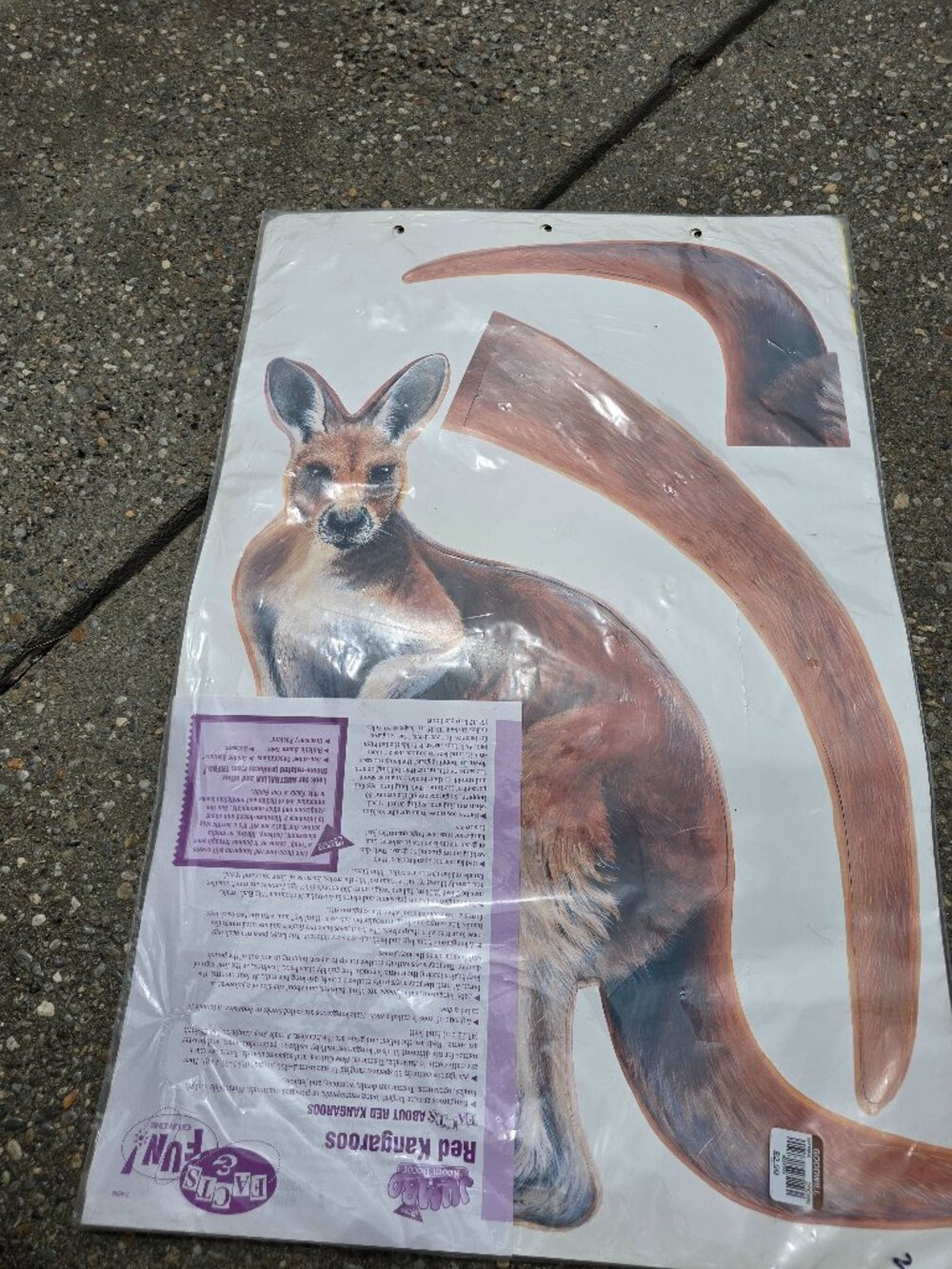 Vintage Trend Enterprises Jumbo Room Decor Red Kangaroo Classroom Cutout T-4809